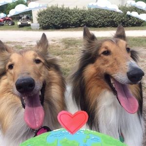 Meet your Posher, Angela